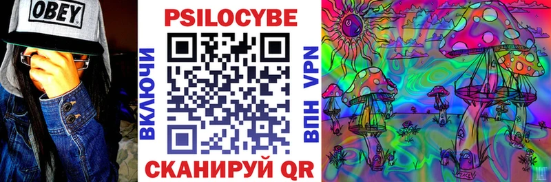Купить  Куровское  Псилоцибиновые грибы GOLDEN TEACHER 